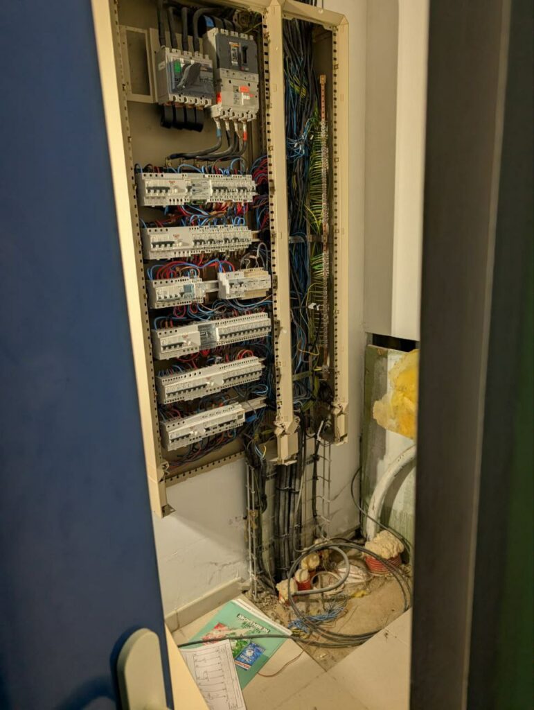 photo 5787438856675200357 y